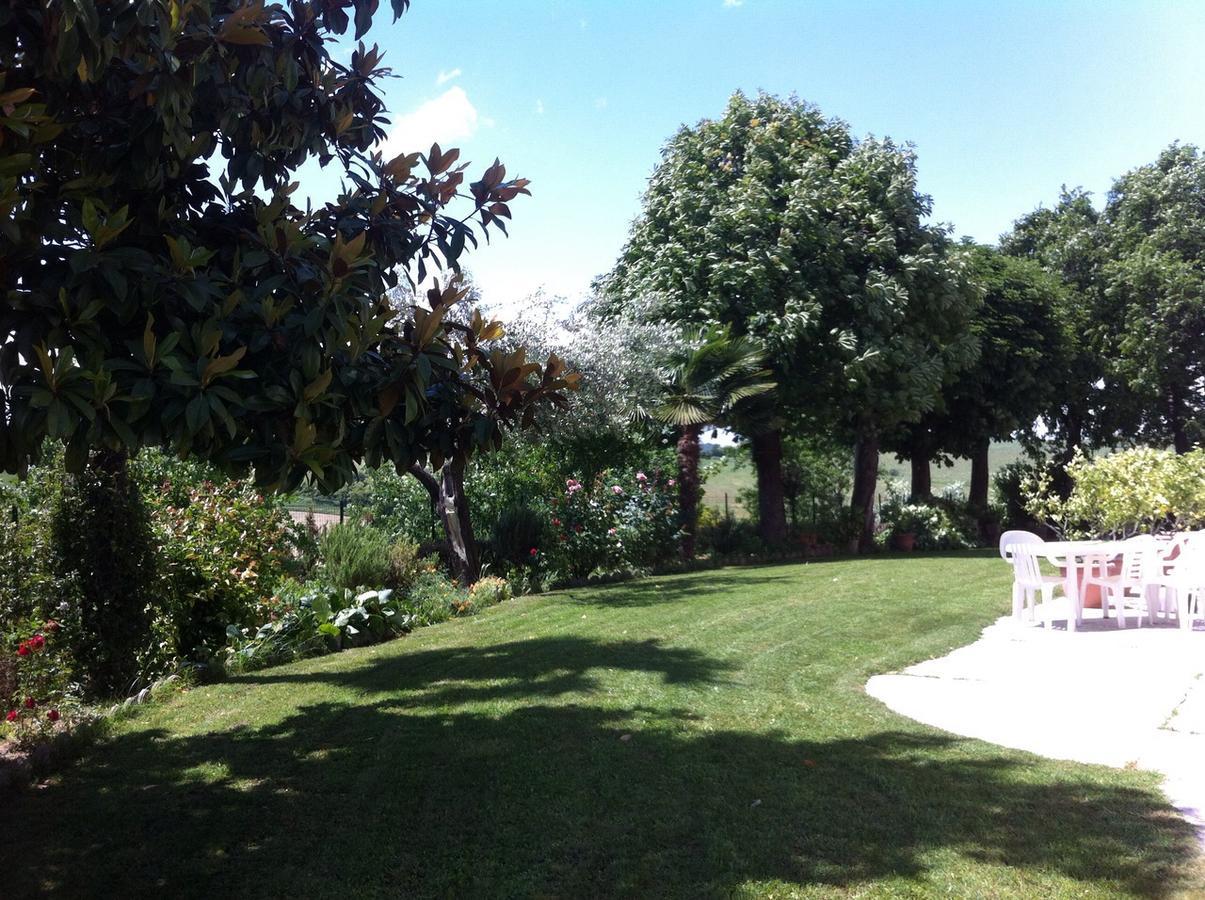 B&B Carletto Cella Monte Экстерьер фото